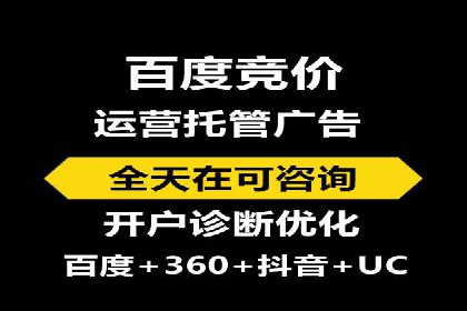 SEM服务公司成功案例解读